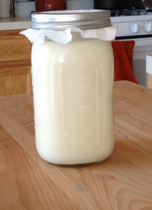 First step in making Clabber.  Pour the milk into a container