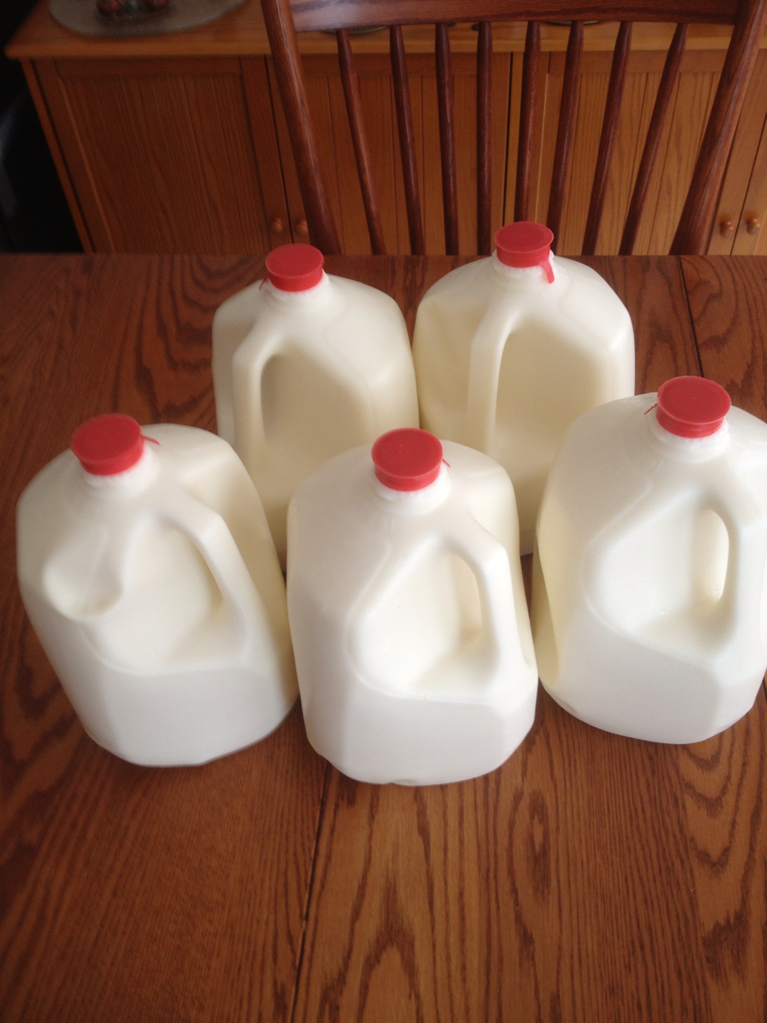 Raw Milk Cure 2013 Day 19