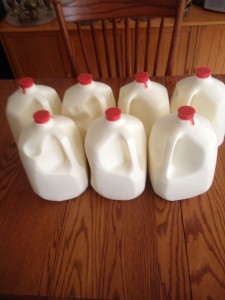7 gallons of raw milk